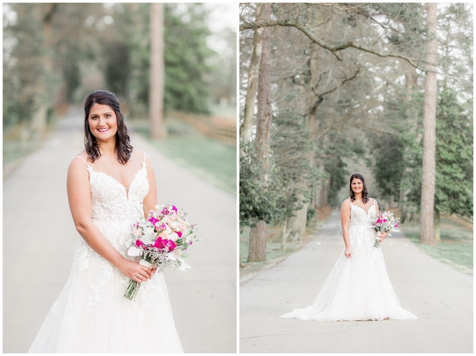 Rose Hill Plantation Bridal Session-Nashville NC-Rose Hill-Tiffany L Johnson Photography_0023.jpg