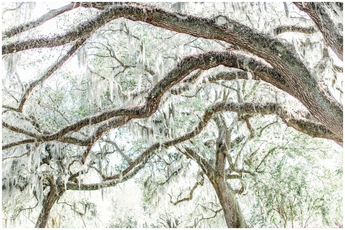 South carolina engagement session-southern plantation engagement session-south carolina wedding photographer-tiffany l johnson photography_0036.jpg