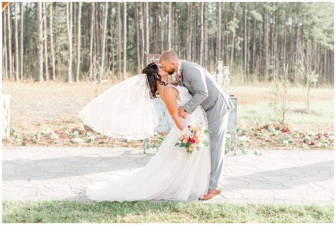 The pavilion at carriage farm wedding-raleigh nc wedding-tiffany l johnson photography-nc wedding photographer_0171.jpg