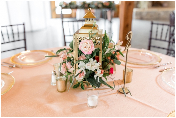 The pavilion at carriage farm wedding-raleigh nc wedding-tiffany l johnson photography-nc wedding photographer_0182.jpg