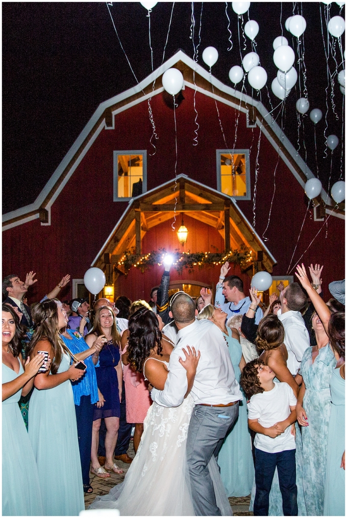 The pavilion at carriage farm wedding-raleigh nc wedding-tiffany l johnson photography-nc wedding photographer_0256.jpg