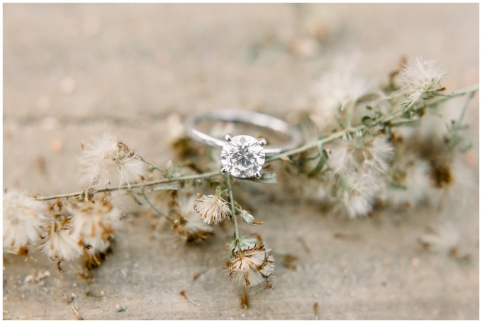 UNC Chapel hill engagement session - chapel hill wedding photographer - tiffany l johnson photography_0046.jpg