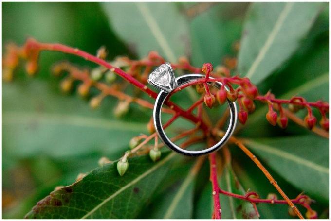 UNC Chapel hill engagement session - chapel hill wedding photographer - tiffany l johnson photography_0059.jpg