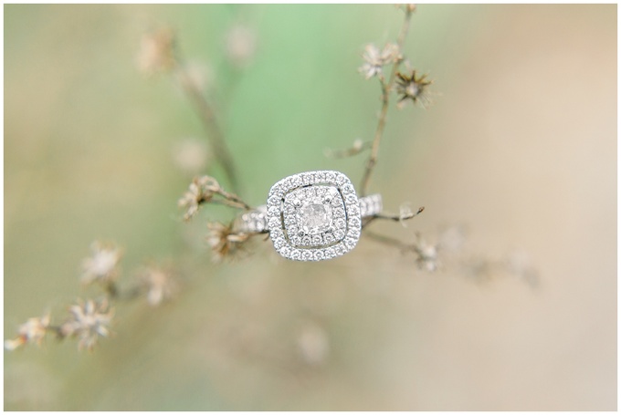 wildflower engagement session - tiffany l johnson photography_0006.jpg