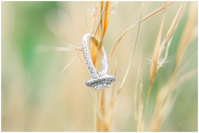 wildflower engagement session - tiffany l johnson photography_0019.jpg