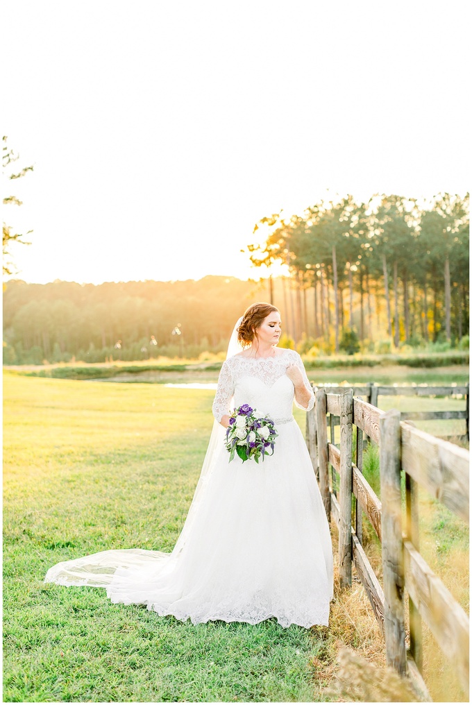 Pavilion at Carriage Farm Bridal Session - Raleigh NC Wedding Photographer - Tiffany L Johnson_0001.jpg