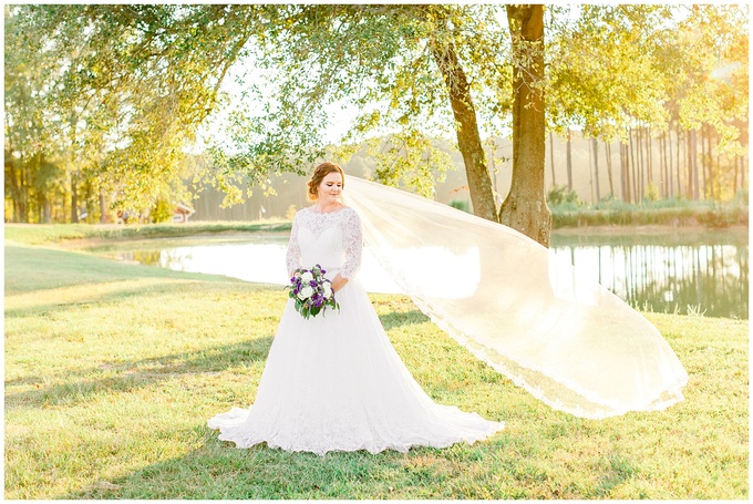 Pavilion at Carriage Farm Bridal Session - Raleigh NC Wedding Photographer - Tiffany L Johnson_0019.jpg