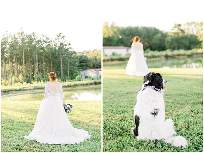 Pavilion at Carriage Farm Bridal Session - Raleigh NC Wedding Photographer - Tiffany L Johnson_0028.jpg