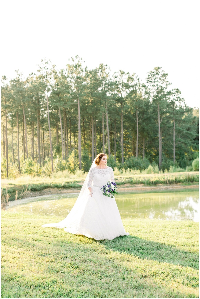 Pavilion at Carriage Farm Bridal Session - Raleigh NC Wedding Photographer - Tiffany L Johnson_0029.jpg