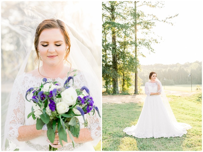 Pavilion at Carriage Farm Bridal Session - Raleigh NC Wedding Photographer - Tiffany L Johnson_0034.jpg