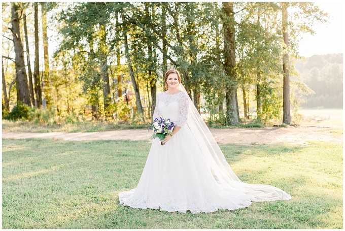 Pavilion at Carriage Farm Bridal Session - Raleigh NC Wedding Photographer - Tiffany L Johnson_0039.jpg