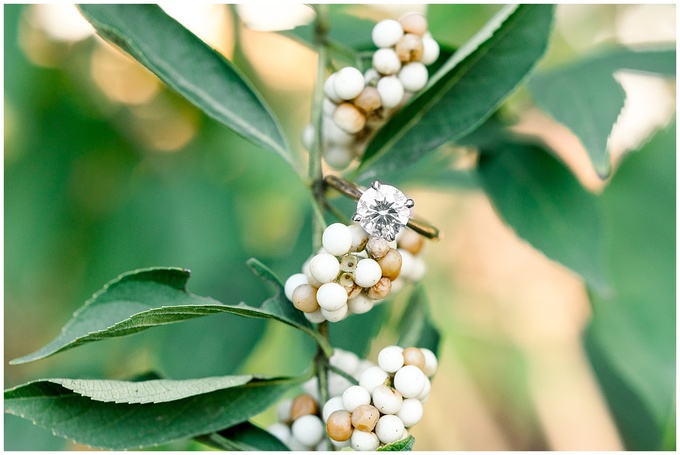 Nashville Engagement Session - Rose Hill Plantation - Tiffany L Johnson_0005.jpg