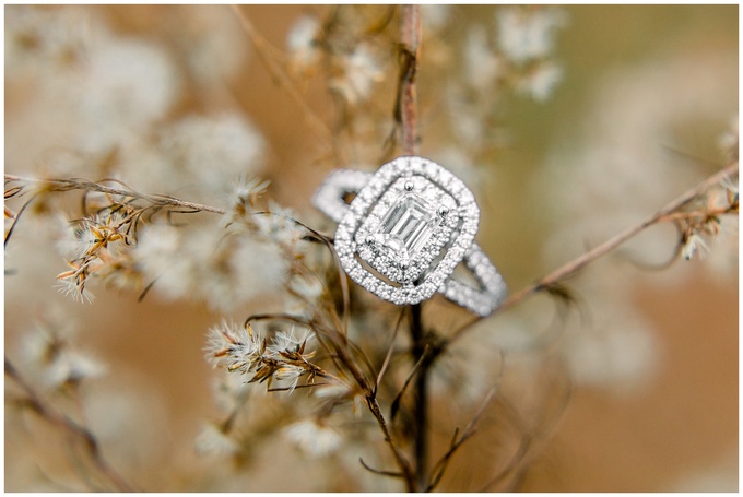 Lake Engagement Session - Tiffany L Johnson Photography_0005.jpg