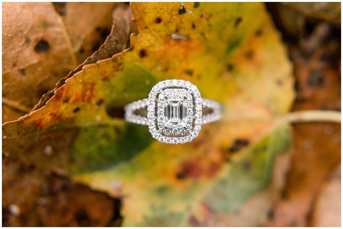 Lake Engagement Session - Tiffany L Johnson Photography_0021.jpg