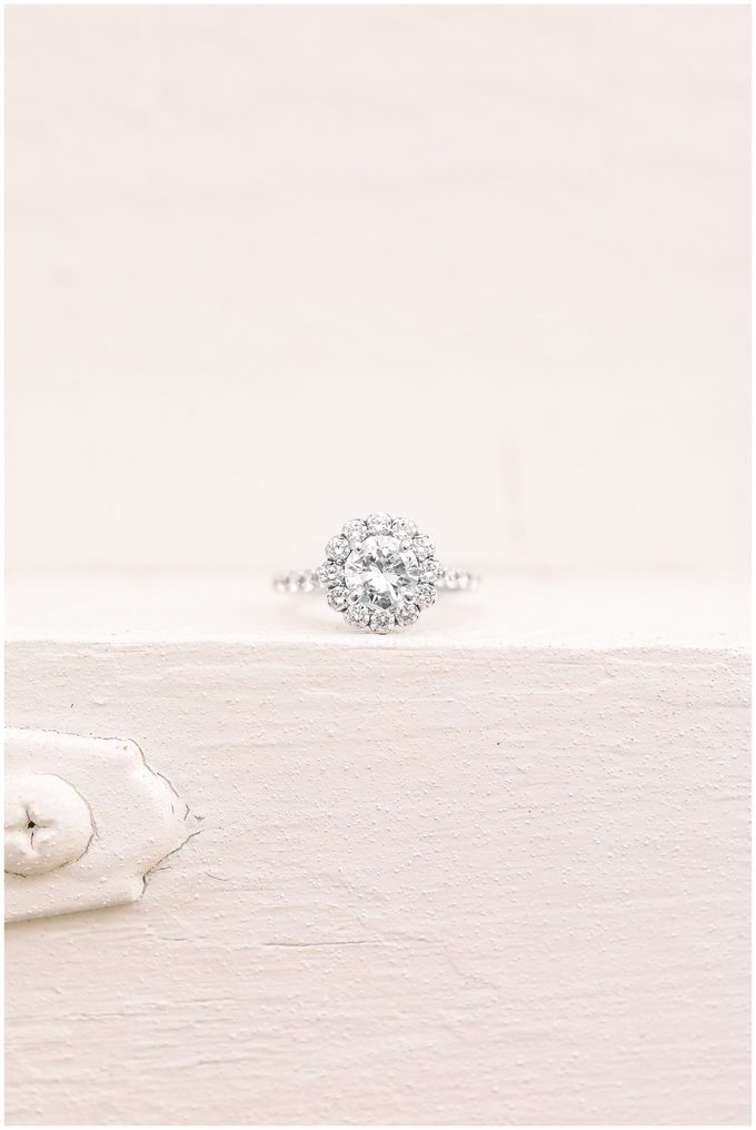 Ray Family Farm Engagement Session - Bunn WEdding Photographer - Tiffany L Johnson Photography_0056.jpg