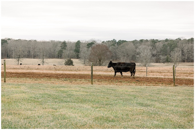 Rose Hill Estate Engagement Session - Tiffany L Johnson Photography