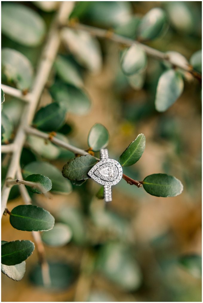 Beach Engagement Session - Wilmington Wedding Photographer - Tiffany L Johnson Photography_0021.jpg