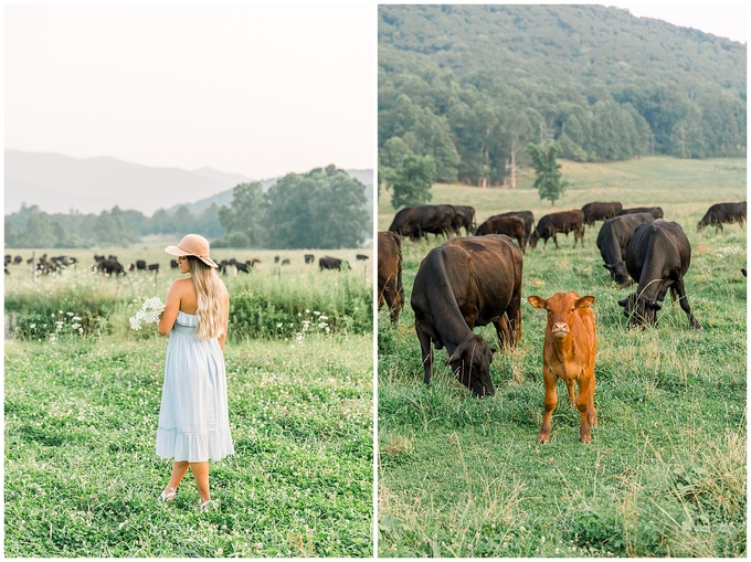 NC Mountains Photoshoot - Asheville Mountain NC Photoshoot_0031.jpg