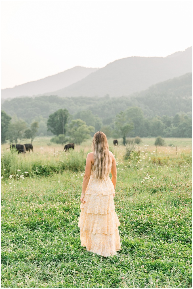 NC Mountains Photoshoot - Asheville Mountain NC Photoshoot_0049.jpg