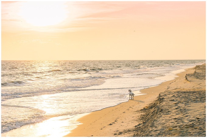 Oak Island Engagement Session - Tiffany L Johnson Photography