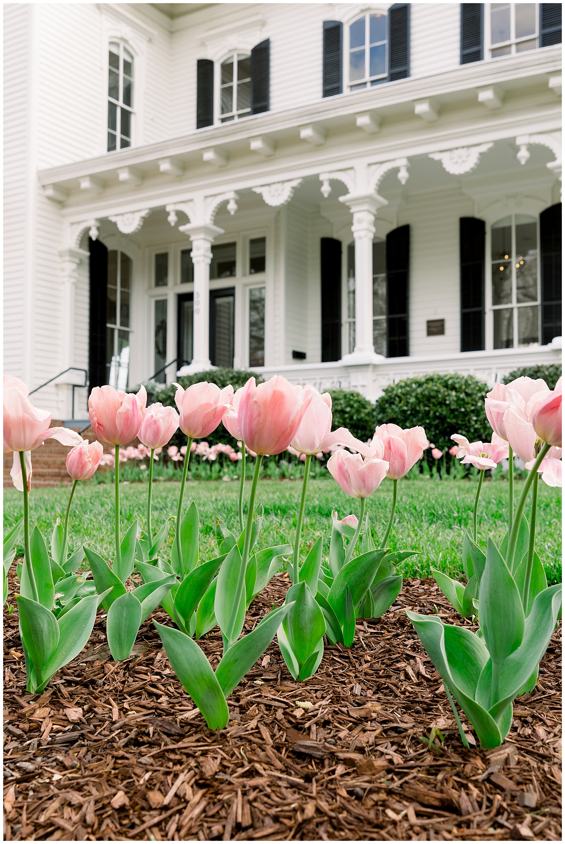 The Merrimon Wynne House Wedding Day - Tiffany L Johnson Photography_0194